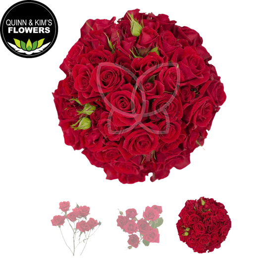 Valentine's Day Roses